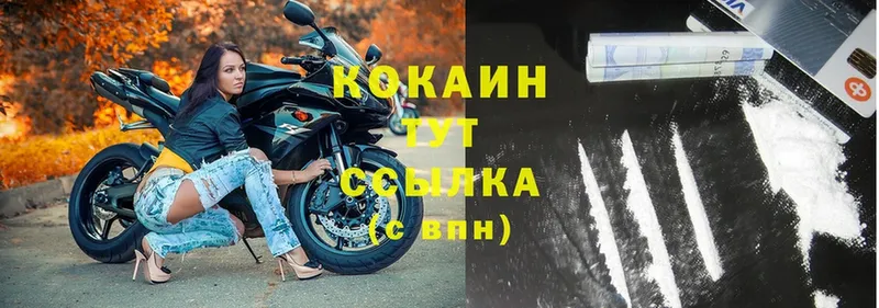 Cocaine Fish Scale  Западная Двина 